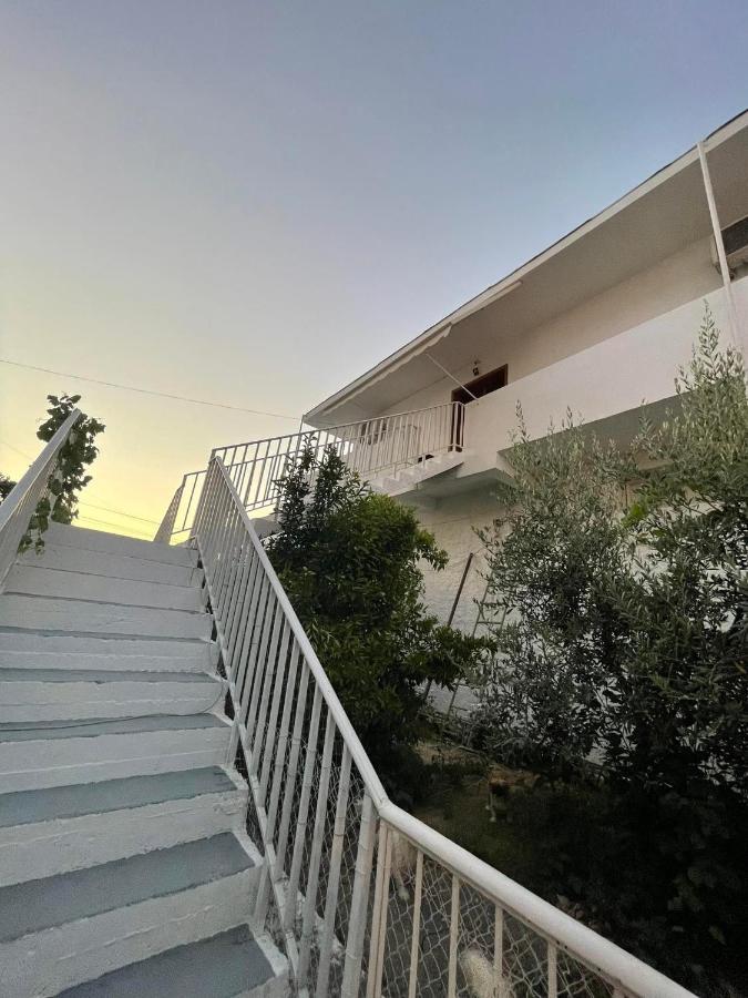 Villa Oasis Berat Exterior photo